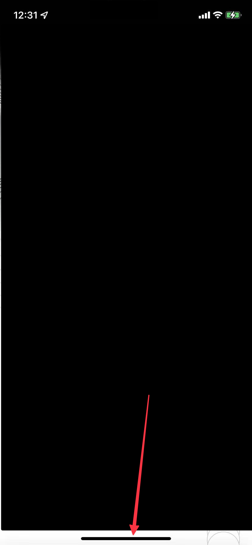 Untitled 5 4.png